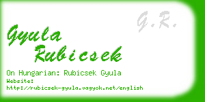 gyula rubicsek business card